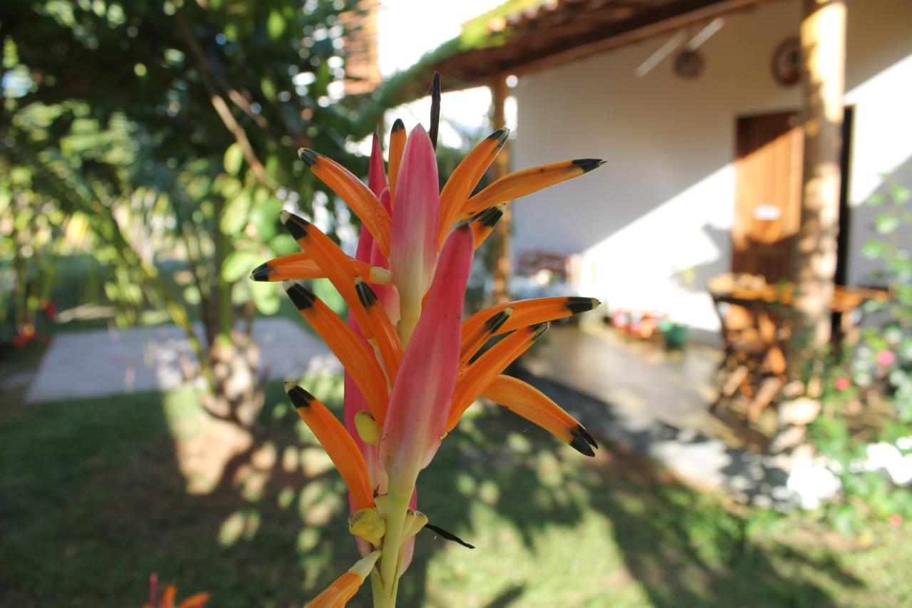 Family Guest House Velha Boipeba Exterior photo