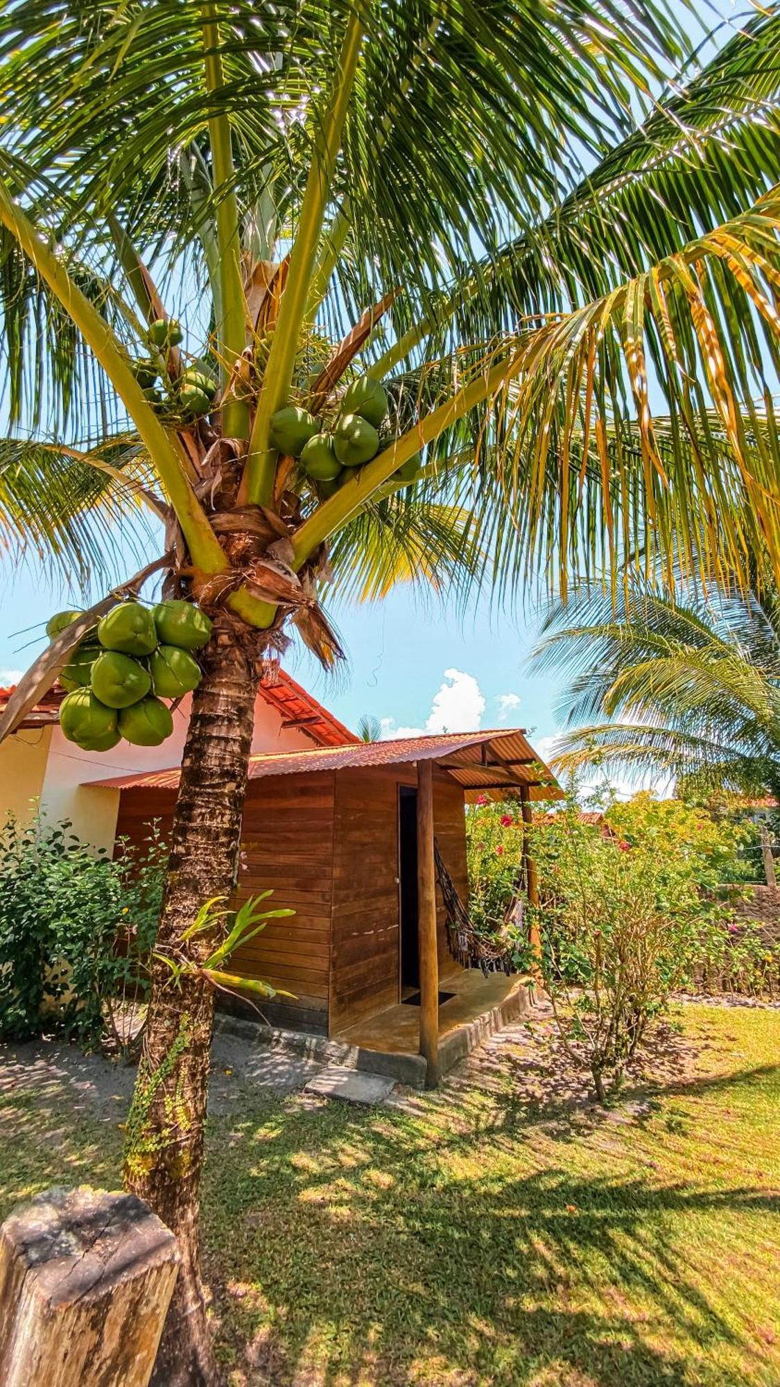 Family Guest House Velha Boipeba Exterior photo